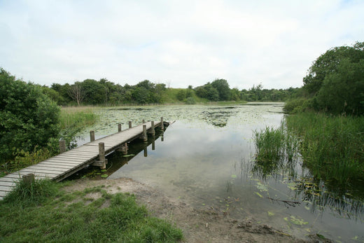 PFAS in Europees water: Nederland zwaar getroffen